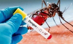 dengue
