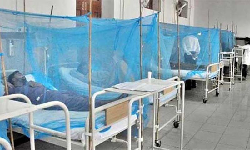 Dengue