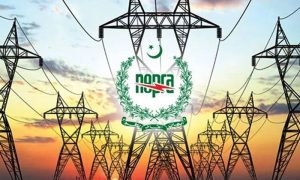 Electricity, Electricity, Bill, Pakistan, Government, Privatization, Minister, Power Division, DISCO,