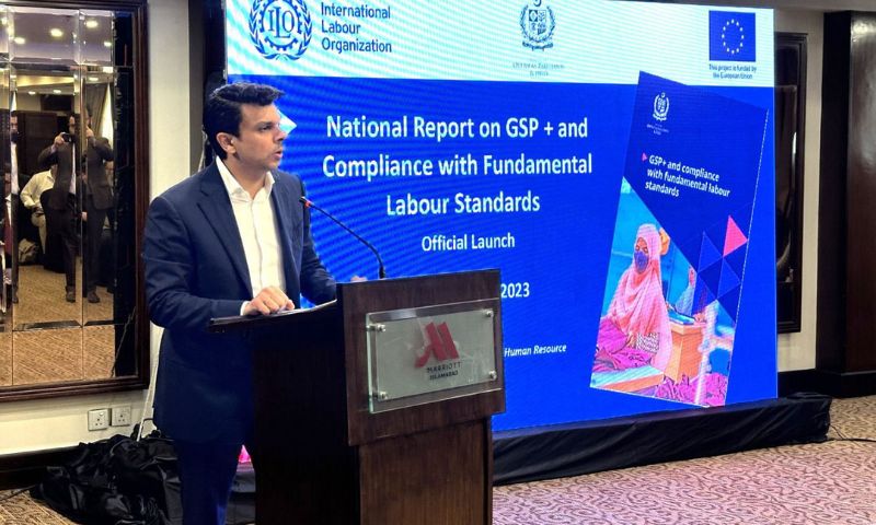 Pakistan, Labour Standards, Prime Minister, Overseas Pakistanis, Jawad Sohrab Malik, Forced Labour, ILO, EU