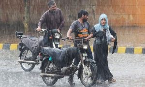 Rain