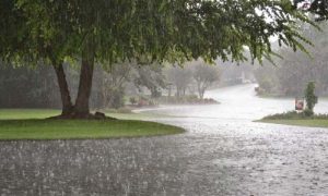 Rain