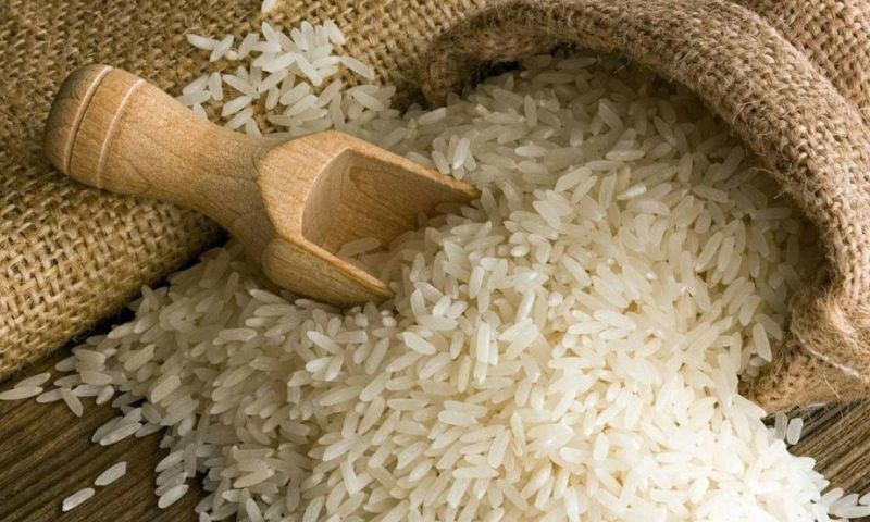 Punjab, Rice, Pakistan, Chief Minister