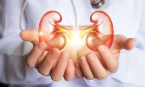 Kidney, Dialysis, Patients, Artificial Kidney, University of California San Francisco, UCSF, Drugs, Pigs, Kidney Transplant, Medical, Blood Pressure,