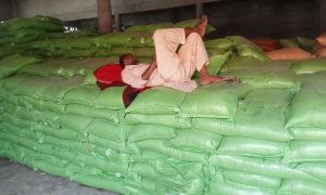 Crackdown, Hoarders, Smugglers, Sindh, Sukkur, Ghotki, Naushehro Feroz, Sugar, Urea, Fertilizer, Wheat, Law Enforcement Agencies,