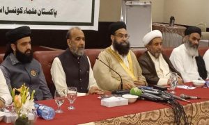 Pakistan PUC, Terrorism, Indian, Security