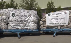 Gaza, Humanitarian Help from Pakistan, Egypt, National Disaster Management Authority, NDMA, Al-Arish,