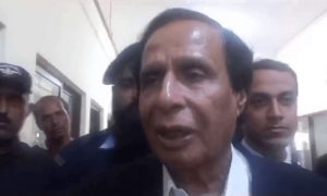 Elahi