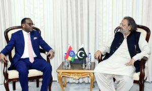Ethiopia’s Ambassador Calls on Pakistan Education Minister