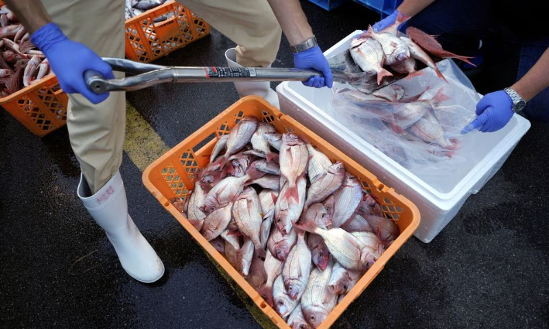 G-7 calls for immediate repeal of bans on Japanese food