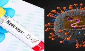 Nipah Virus, Sindh, Health Department, India, Hospitals, Humans, Animals, Malaysia, Singapore, Pigs, Bats, Scientists, Vaccines, WHO, Health