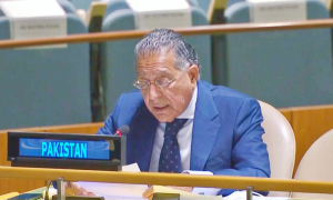 Pakistan Calls for Immediate Ceasefire in Gaza