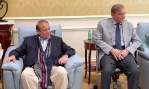 Pakistan, Shehbaz Sharif, Nawaz Sharif, Imran Khan, PDM, Elections, Ferozwala,