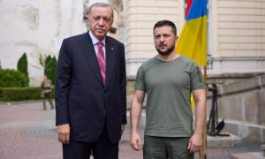 Turkey, Ukraine, Malta, Talks, Peace, Russia, Turkish, Recep Tayyip Erdogan, Volodymyr Zelensky, President, Black Sea, Grain, Export,