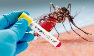 Dengue