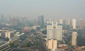 BRAZIL, FIRE, FORESTS, CLIMATE