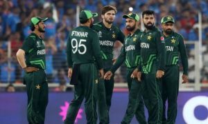 Cricket