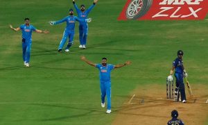 Cricket (