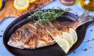 Fish
