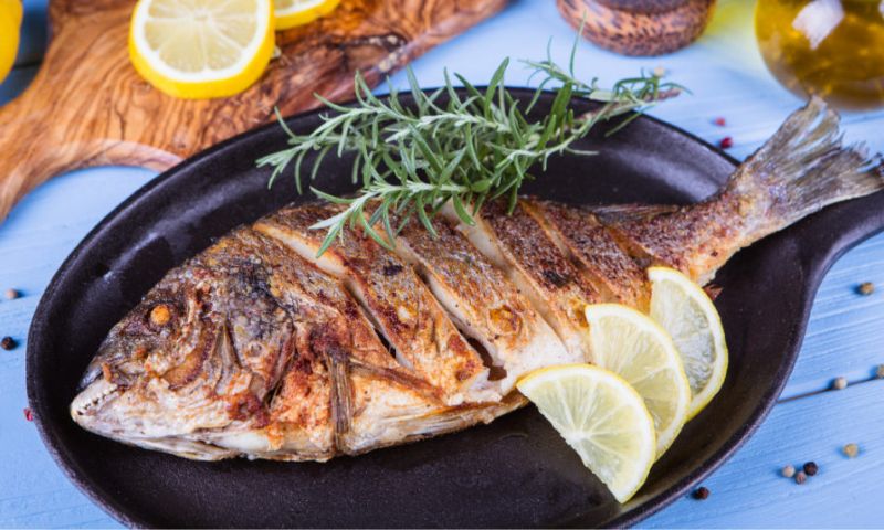 Fish