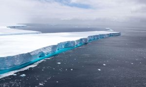 Iceberg