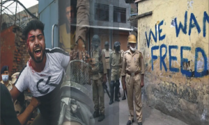 “India Treated Occupied Jammu and Kashmir as its Colony”