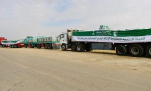 Riyadh, Gaza, KSA, Palestinian Humanitarian Crisis, Arab-Islamic summit, "SAHEM", Gaza, Organization of Islamic Cooperation, OIC