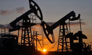 Oil