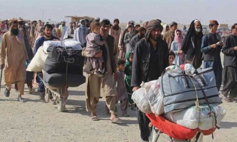 Repatriation
