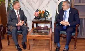 US, Ambassador, Pakistan, Donald Blome, political parties, Senate, relations, International Monetary Fund, IMF ,envoy