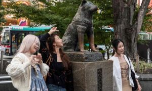 JAPAN, ANIMAL, DOG, HACHI, TOURISM