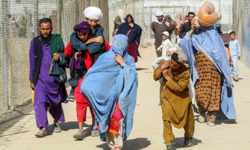 Afghan, undocumented foreigners, Khyber Pakhtunkhwa, Afghanistan, Torkham border, Angor Adda, Lower Waziristan, Kharlachi, KP