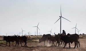 Thatta, Pakistan, Sindh, wind turbines, Yang Jianduo, PowerChina power projects, clean energy