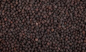 Chickpeas