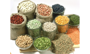 China to Support Pakistan in Developing Best-quality Hybrid Seeds