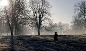Cold