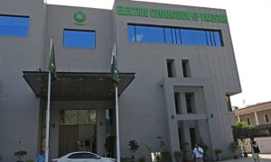 nomination papers, Provincial Assembly, 2024 general elections, candidates, ECP,