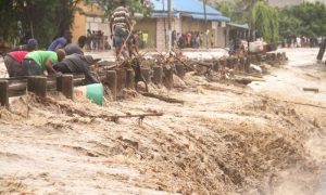 Tanzania, Landslides, Rainfall, Flooding, Prime Minister, Hillside, Buildings, Military, Assistance, Television, Market, Dubai, COP28, Climate, Floods, Weather, Kenya, Somalia, Ethiopia