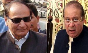 PML-N, PML-Q, seat adjustments, general elections, Nawaz Sharif, Chaudhry Salik Hussain, Maryam Nawaz, Chaudhry Shujaat Hussain,