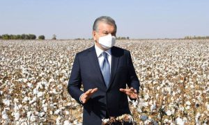 Uzbekistan, Raw Cotton, Cotton, Harvest, Uzbek, President, Shavkat Mirziyoyev, Agricultural, China, India, USA, Pakistan, Brazil, Agriculture, Land, Soil, Production, Vegetables, Melons, Grapes, Technologies, Technical