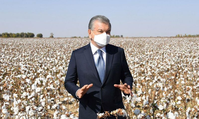 Uzbekistan, Raw Cotton, Cotton, Harvest, Uzbek, President, Shavkat Mirziyoyev, Agricultural, China, India, USA, Pakistan, Brazil, Agriculture, Land, Soil, Production, Vegetables, Melons, Grapes, Technologies, Technical