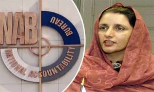 PTI, Minister, Zubaida Jalal, Pakistan Tehreek-e-Insaf, Prime Minister, Imran Khan, Bushra Bibi, NCA, NAB, Cabinet, Investigation, Al Qadir Trust, National Accountability Bureau, National Crime Agency, Britain, Government