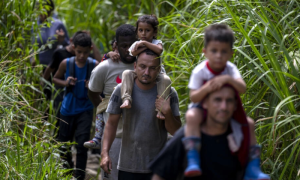 Hundreds of Migrants Faced Sex Attacks in Darien Gap, says MSF