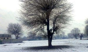 Cold