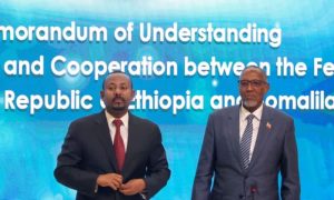 Somalia, Ethiopia, Somaliland, Aggression, Territory, Prime Minister, Red Sea, MoU, UN Security Council, African Union, Sea