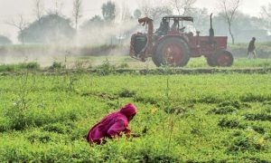 PM, Potential, Pakistan, Agri Sector, Davos