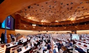 South Africa, Morocco, Africa, UN, United Nations, Human Rights Council, Western Sahara