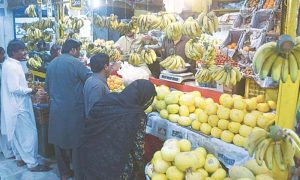 Fruit Sellers
