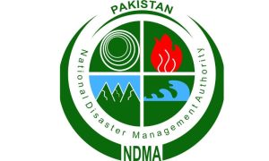 NDMA, IAWG, Humanitarian, Gender
