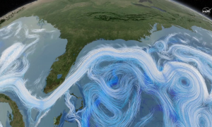 Oceans Absorbed 90 Percent of Excess Heat Last Year: Report